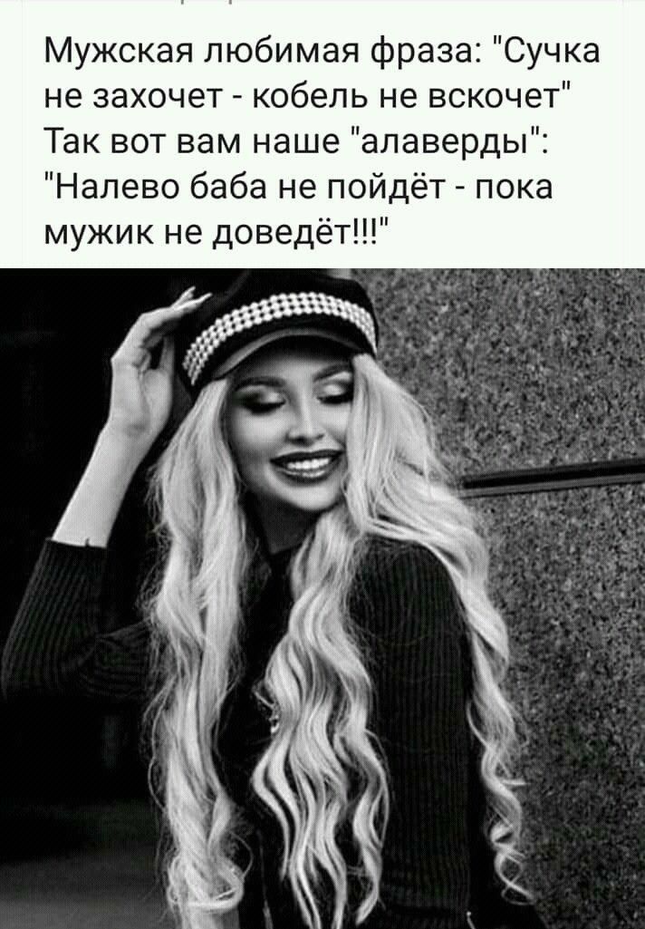 Мужская любимая фраза Сучка не захочет кобель не вскочет Так вот вам наше алаверды Налево баба не пойдёт пока мужик не доведёт