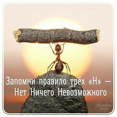 Ничего Невоэмё