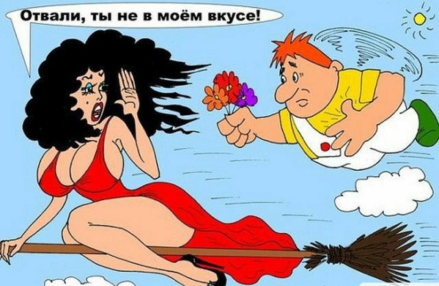 ст зани ты не в моём вкусе