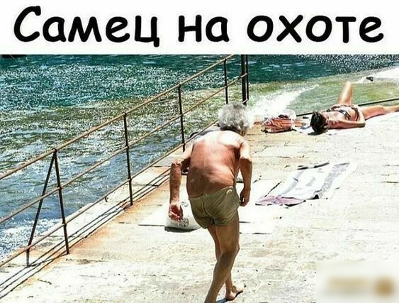 Самец на охоте