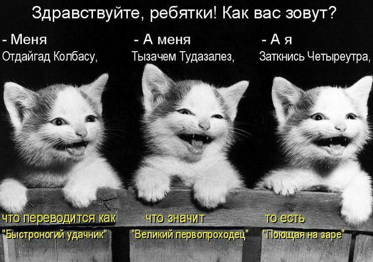Здравствуйте ребятки Как вас зовут Меня А меня А я Отдайгад Копбасу Тызачем Тудазапез Заткнись Четыреутра