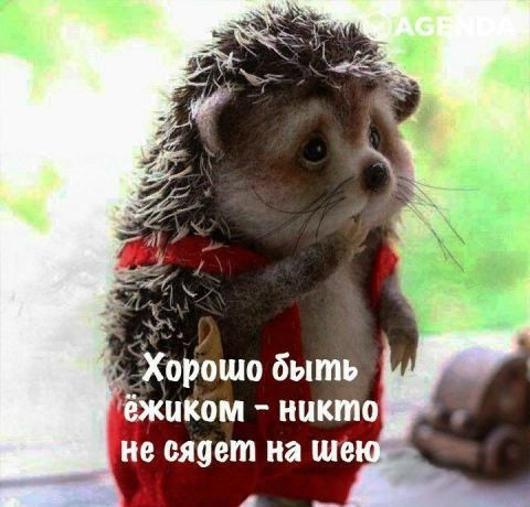 Хорбшо быть иком ник в сядет на ше