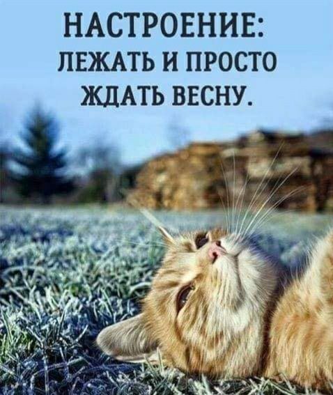 НАСТРОЕНИЕ пвждть и просто ЖДАТЬ ввсну