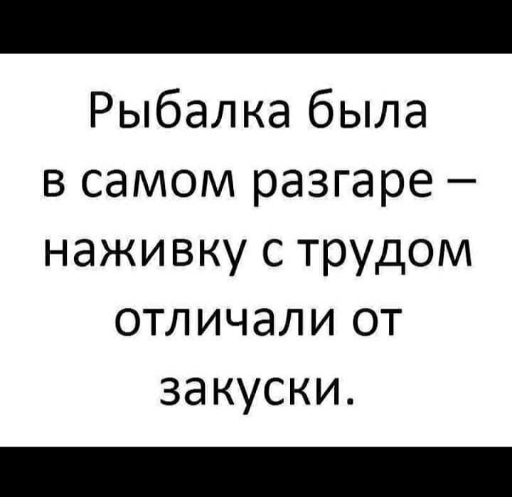 Рыбалка была в самом разгаре наживку с трудом отличали от закуски