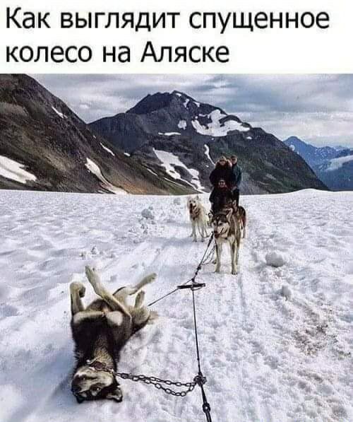 Как выглядит спущенное колесо на Аляске