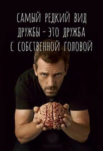 САМЫЙ РЕДКИЙ ВИЛ ЛРУЖБЫ ЭТО ДРУЖБА ОБПЁЕННОЙ ГОЛОВОЙ
