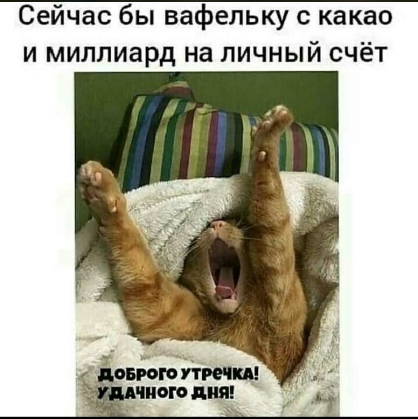 Сейчас бы вафельку с какао и миллиард на личный счёт