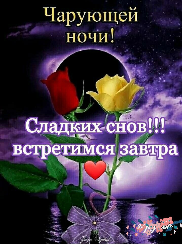 Чарующей ночи