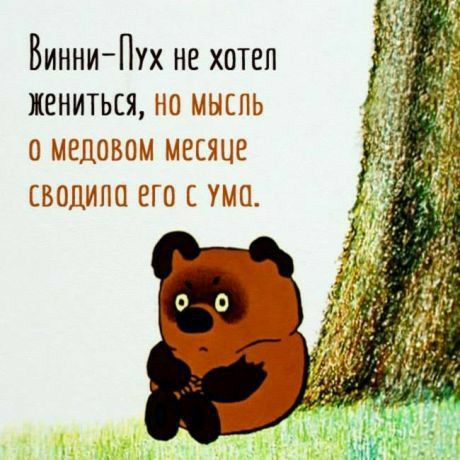 Винни Пух не хотел жениться ыы ь омедово из с из сводипц зги иш