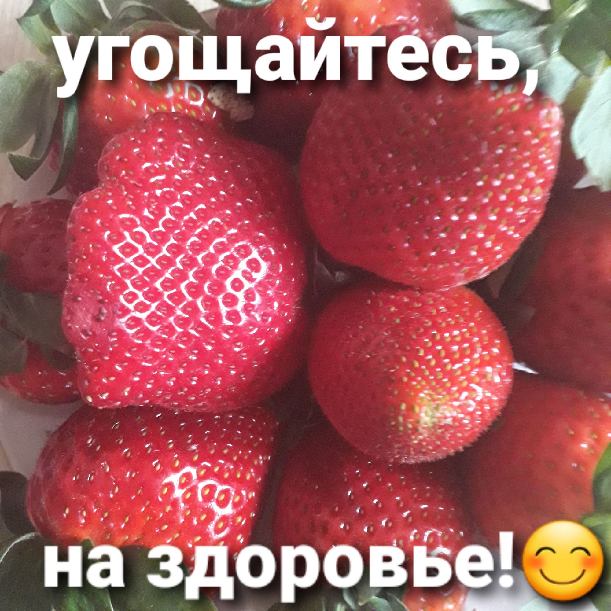 0992 зд на