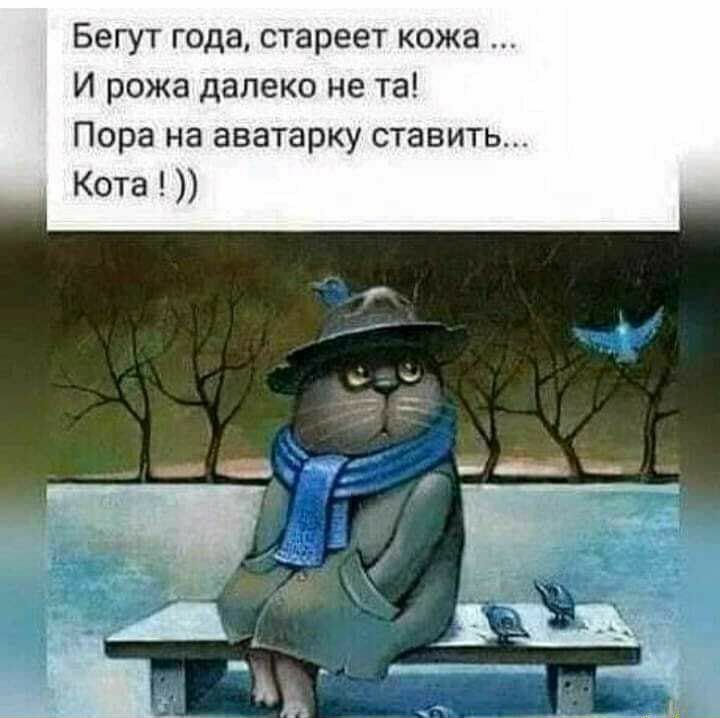 Бегут года стареет кожа И рожа далеко не та Пора на аватарку ставить Кота _ твц __