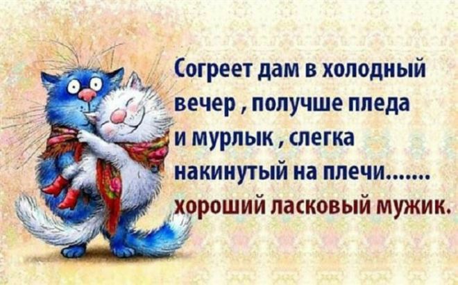 вечер получше ппеда И МУРЛЫК слегка _ НБКИИУТЫЙ На плечи Х9РОШИИ ЛЗСКОВЫИ МУЖИК