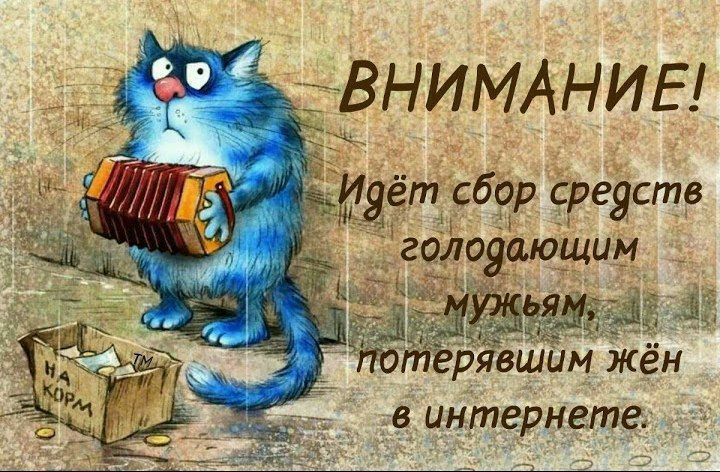 ц ёт сбор сРеЯСтв 59 интернете _