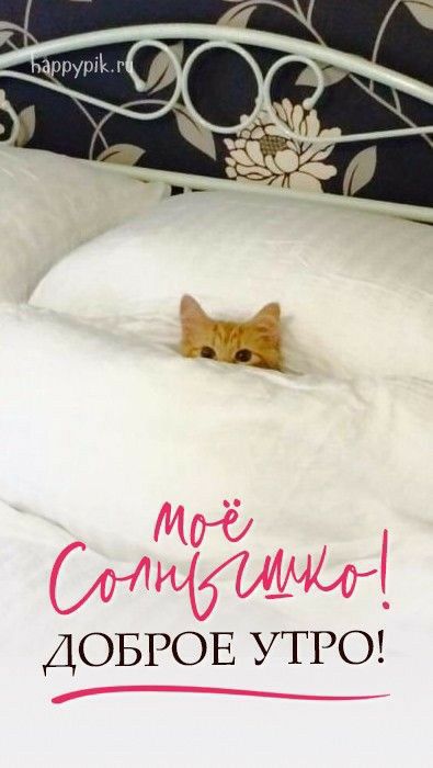 ДОБРОЕ УТРО