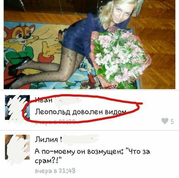 Леопольд доволен Ви 73 Лилия А помоему он возмущен Что за срам