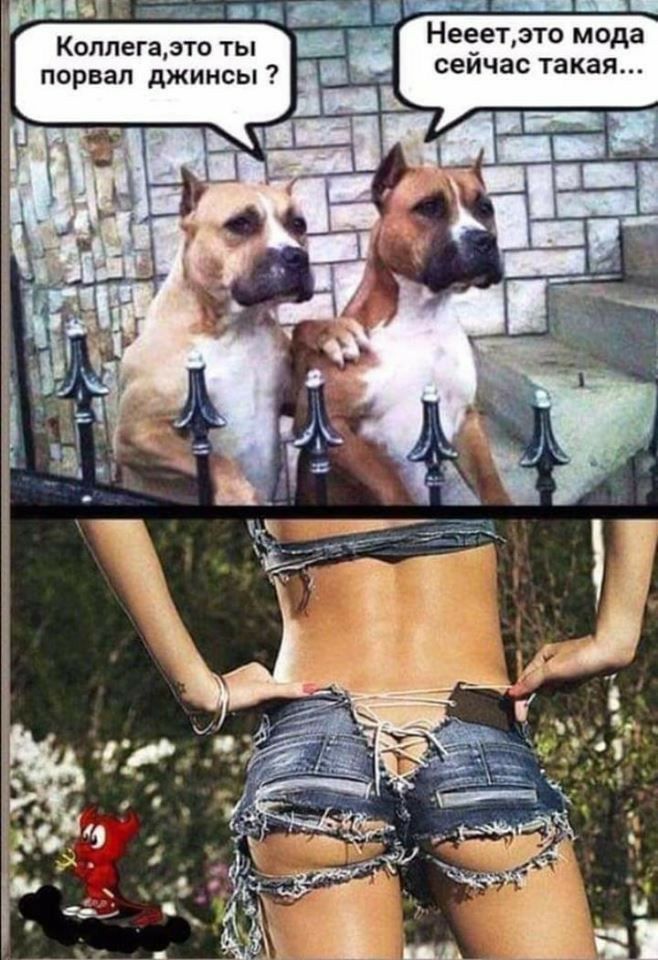 Нееетэто мода Коллегаэто ты _ _ сеичас такая _В порвал джинсы