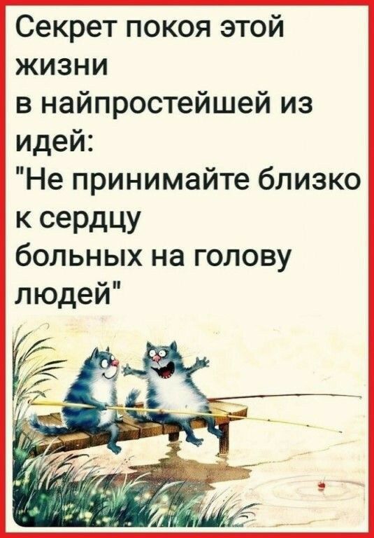 Секрет покоя этой жизни в найпростейшей из идей Не принимайте близко к сердцу бОЛЬНЫХ на ГОЛОВУ людей