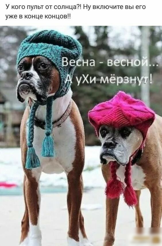 У кого пупьт от солнца Ну включите вы его уже в конце концов