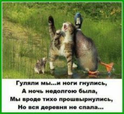 Гупяпи мып НОГИ ГИУПИЁЪ А пень недолго о была Мы пром тихо пишимриуппсь Но пя ира ия и спад