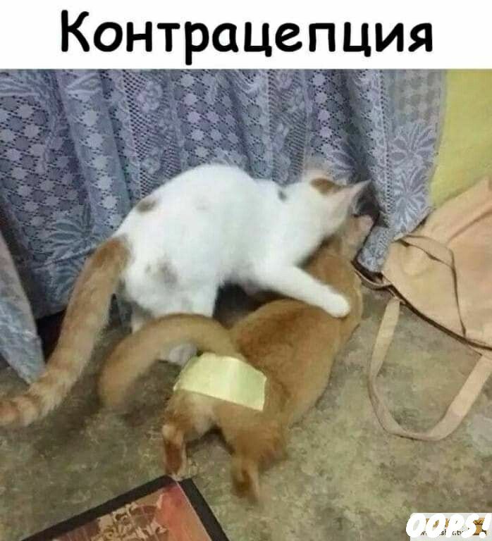 Контрацепция