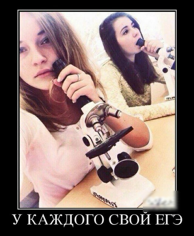 У КАЖДОГО СВОЙ ЕГЭ