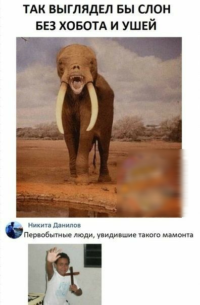 ТАК ВЫГЛЯДЕЛ БЫ СЛОН БЕЗ ХОБОТА И УШЕЙ Никич пижмы Первобытные люди увидипшие писю мамонта