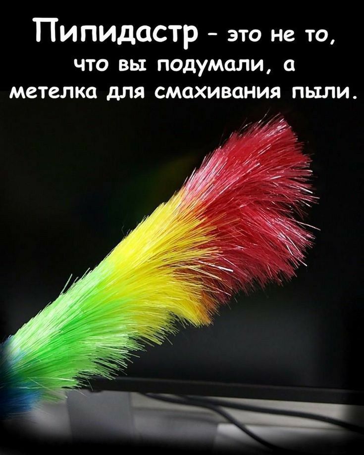 Пипидастр это не то ЧТО вы подумали О МСТСЛКО дЛЯ СМОХИВОНИЯ ПЬШИ