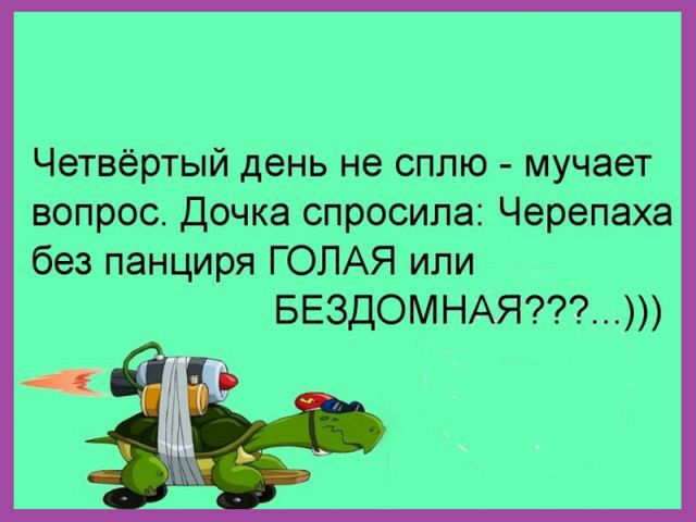Четвёртый день не сплю мучает вопрос Дочка спросила Черепаха без панциря ГОЛАЯ ипи БЕЗДОМНАЯ
