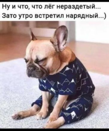 Ну и что что лёг нераздетый Зато утро встретил нарядный г