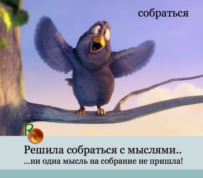 собраться Решила собраться с мыслями И одна МЫСЛЬ на собрание не пришла