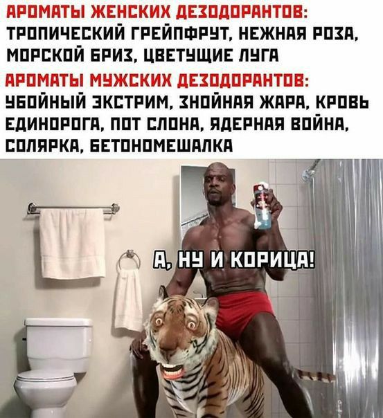 НРПМПТЫ ЖЕНСКИХ ЦЕЗПДПРЯНТПЕ ТРППИЧЕЕКИЙ ГРЕЙПФРНТ НЕЖНАЯ РПЗЯ мпппкпй БРИЗ цвЕтнщив лиги иппмпты мижских двзпдппянтпш нвпйный экстрим нпйнпя ждпп кппвь вдинпппгп ппт лпни ядвпнпя впйнп ппяпкя внтпнпмвшплкд