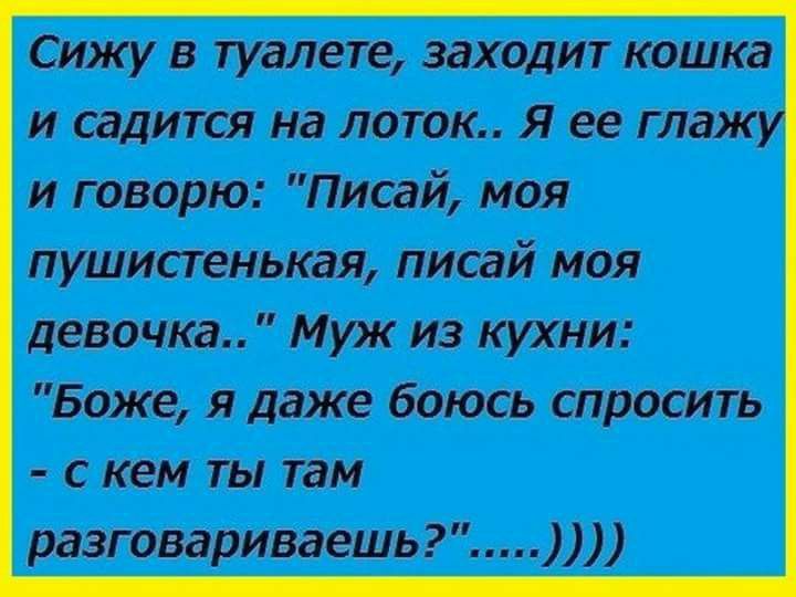 Сижу в туалете заходит кошка и садится на поток Я ее глаж и говорю Писай моя пушистенькая писай моя девочка Муж из кухни Боже я даже боюсь спросить с кем ты там разговариваешь