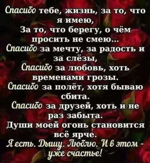 Ошшдо тебе ждазнь за то что я имею За тв что берегу о чём ПРОСИТЬ не смею Спасибо за мечту за радость в за слёзьь Ошсцбо за любовь хоть временами грозы Ошшдо за полёт хотя бываю сбита Спдшбо за друзей хоть и не раз забыта Души моей огонь становится всё ярче Лесть Ющ 11 6 этом уже счастье