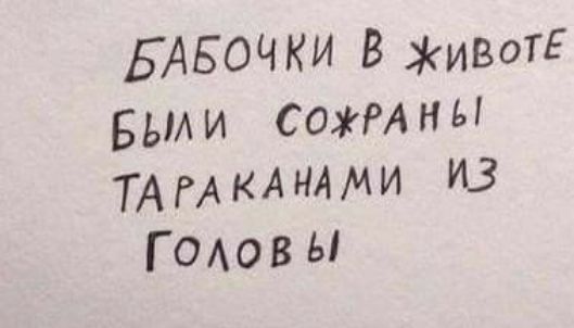 БАБОЧКИ В ИВОТЕ Были СожРАны ТАРАКАНАМИ ИЗ ГОАовы
