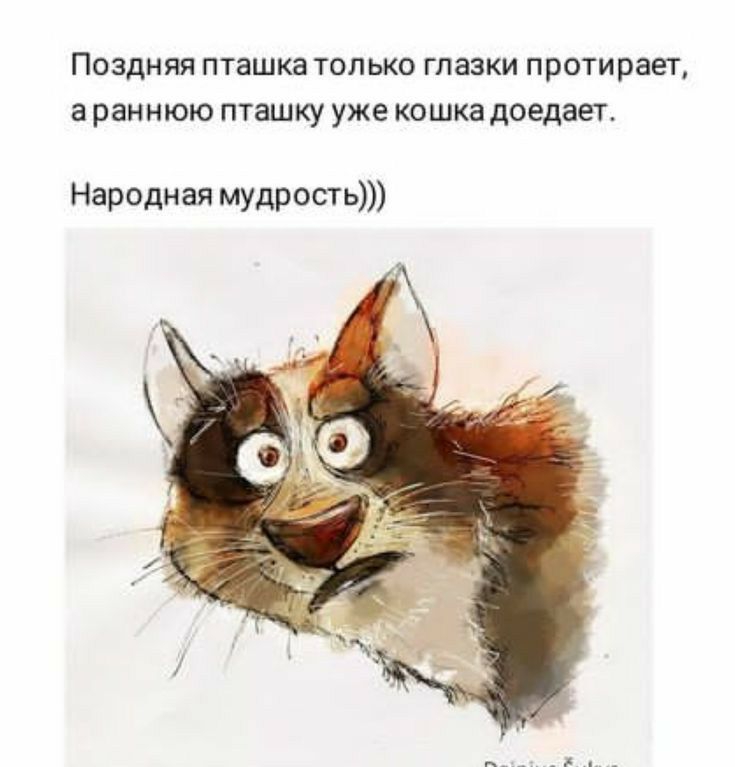 ПОЗДНЯЯ ПТЭШКЭ ТОЛЬКО ГПЭЗКИ протирает а раннюю ПТЗШКУ уже КОШКЭ доедает Народная МУДРОСТЬ