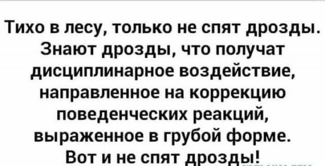 Тихо в лесу только не спят дрозды Знают дрозды что получат дисциплинарное воздействие направленное на коррекцию поведенческих реакций выраженное в грубой форме Вот и не спят дрозды