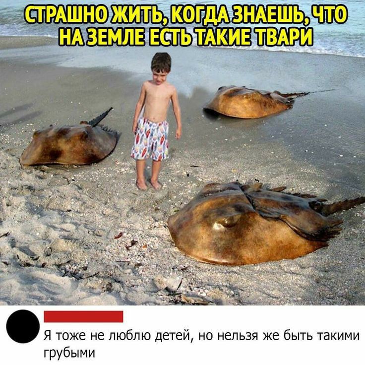 тоже не люблю детей но нельзя же быть такими грубыми
