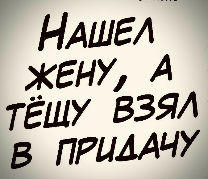 Нашел жену, а тёщу взял в прилачу
