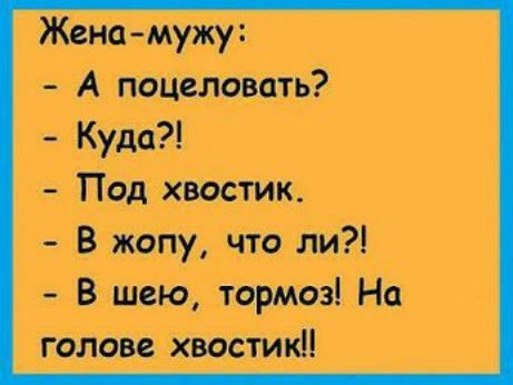 Жид мужу А помиловать Куда Под хвостик В жопу что ли В шею тормоз На голове хвостиюі
