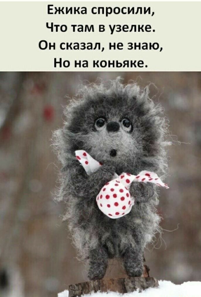 Ежика спросили Что там в узелке Он сказал не знаю Но на коньяке
