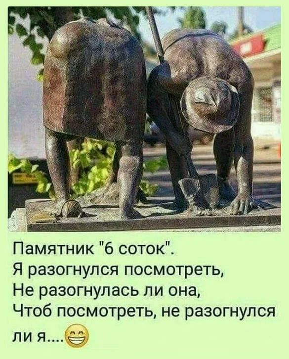 Памятник 6 соток Я разогнулся посмотреть Не разогнулась ли она Чтоб посмотреть не разогнулся ли яё