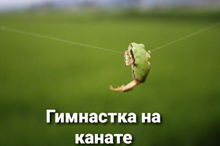 хдд Гимнастка на канате