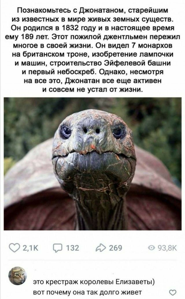 Познакомьтесь с Джонатаном старейшим из известных в мире живых земных существ Он родился в 1832 году и в настоящее время ему 189 лет Этот пожилой джентльмен пережил многое в своей жизни Он видел 7 монархов на британском троне изобретение лампочки и машин строительство Эйфелевой башни и первый небоскреб Однако несмотря на все это Джонатан все еще активен и совсем не устал от жизни 21к Д 132 269 ЭТО
