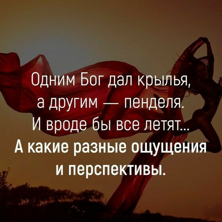 Одним Бог дал крылья а другим пенделя И вроде бы все летят А какие разные ощущения и перспективы