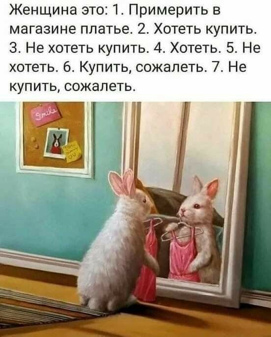 Женщина это 1 Примерить в магазине платье 2 Хотеть купить 3 Не хотеть купить 4 Хотеть 5 Не хотеть 6 Купить сожалеть 7 Не купить сожалеть