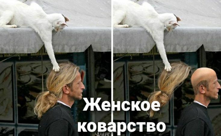 код рство