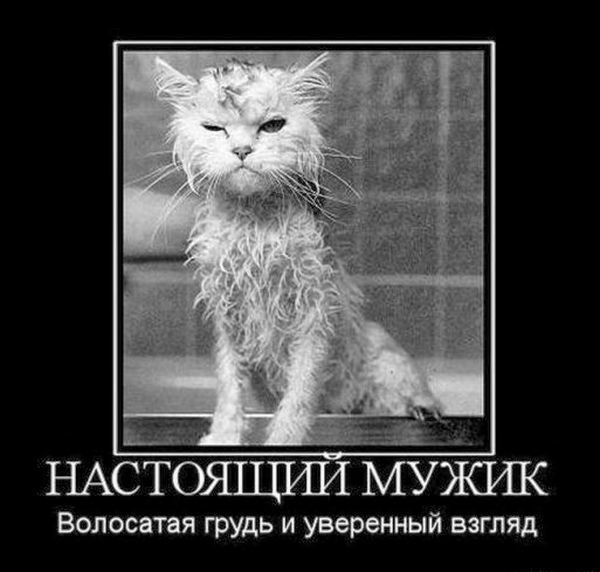 НАСТОЯ1ШП1МУЖ1Ж Волосатая грудь и уверенный взгляд