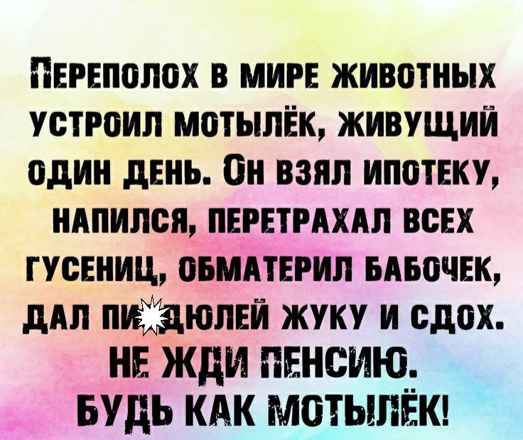 Переполох в мире животных птиц мотыпЁк живущий один день Он взял ипотеку нАпипся пнгвтмхдп всех гусениц овпиіпнгил вдвочек дял пюлнй жуку и сдох НЕ ЖДИ ПЕНСИЮ БУДЬ КАК МОТЬШЁК