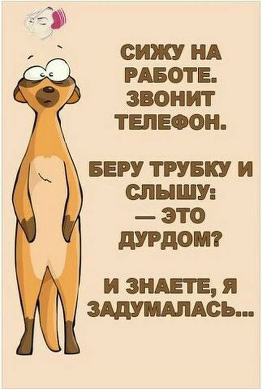 сижу НА РАБОТЕ ЗВОНИТ ТЕЛЕФОН веру трувку и слышу это 110 и видете я зшидпдсь
