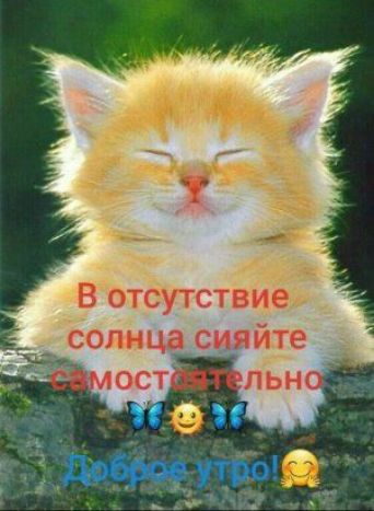 7 гВЪтдутствиеъ солнца сияйте